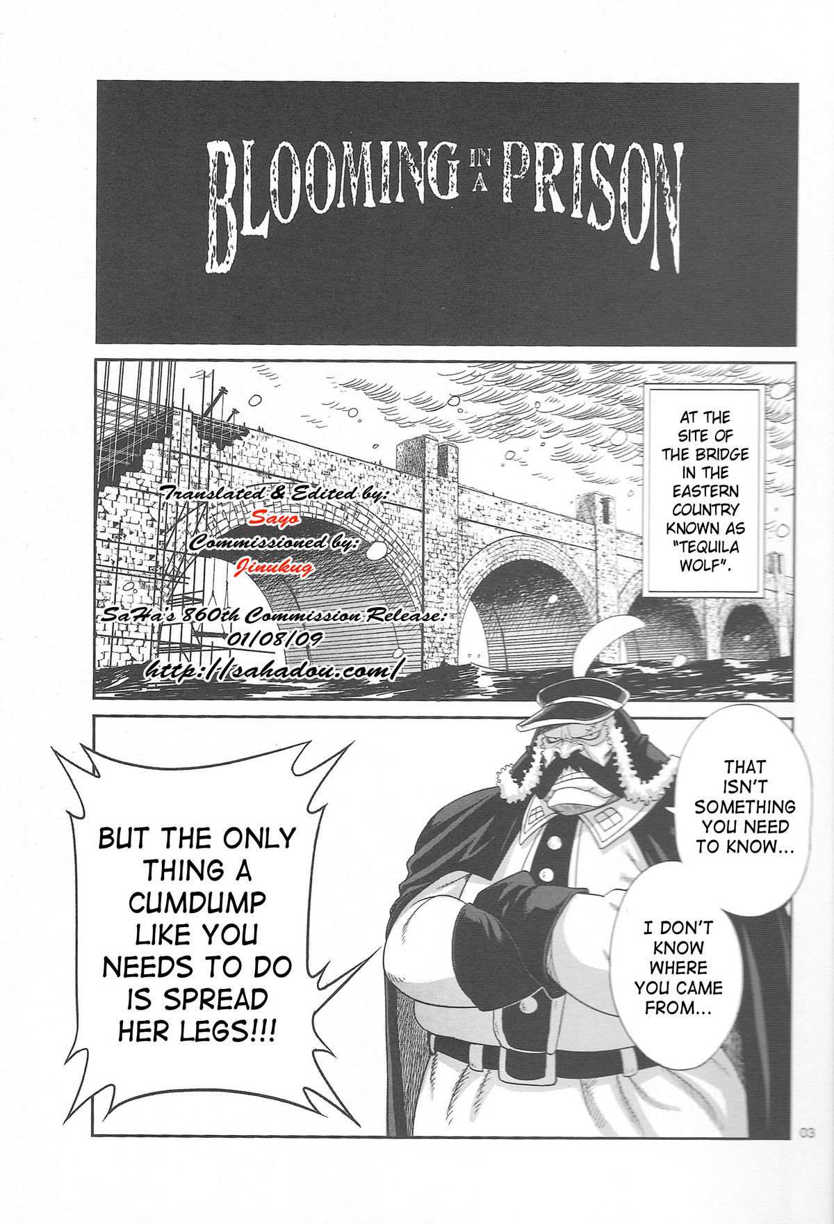 Blooming in a Prison – Nico Robin - 3