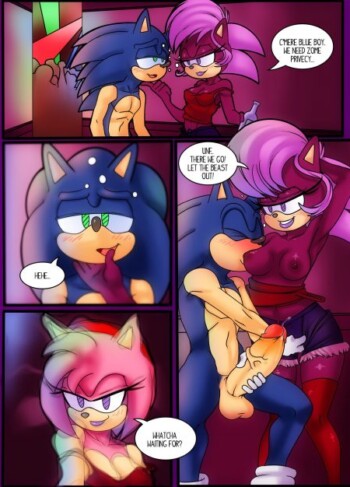 Drunk Siblings – Sonic XXX 23