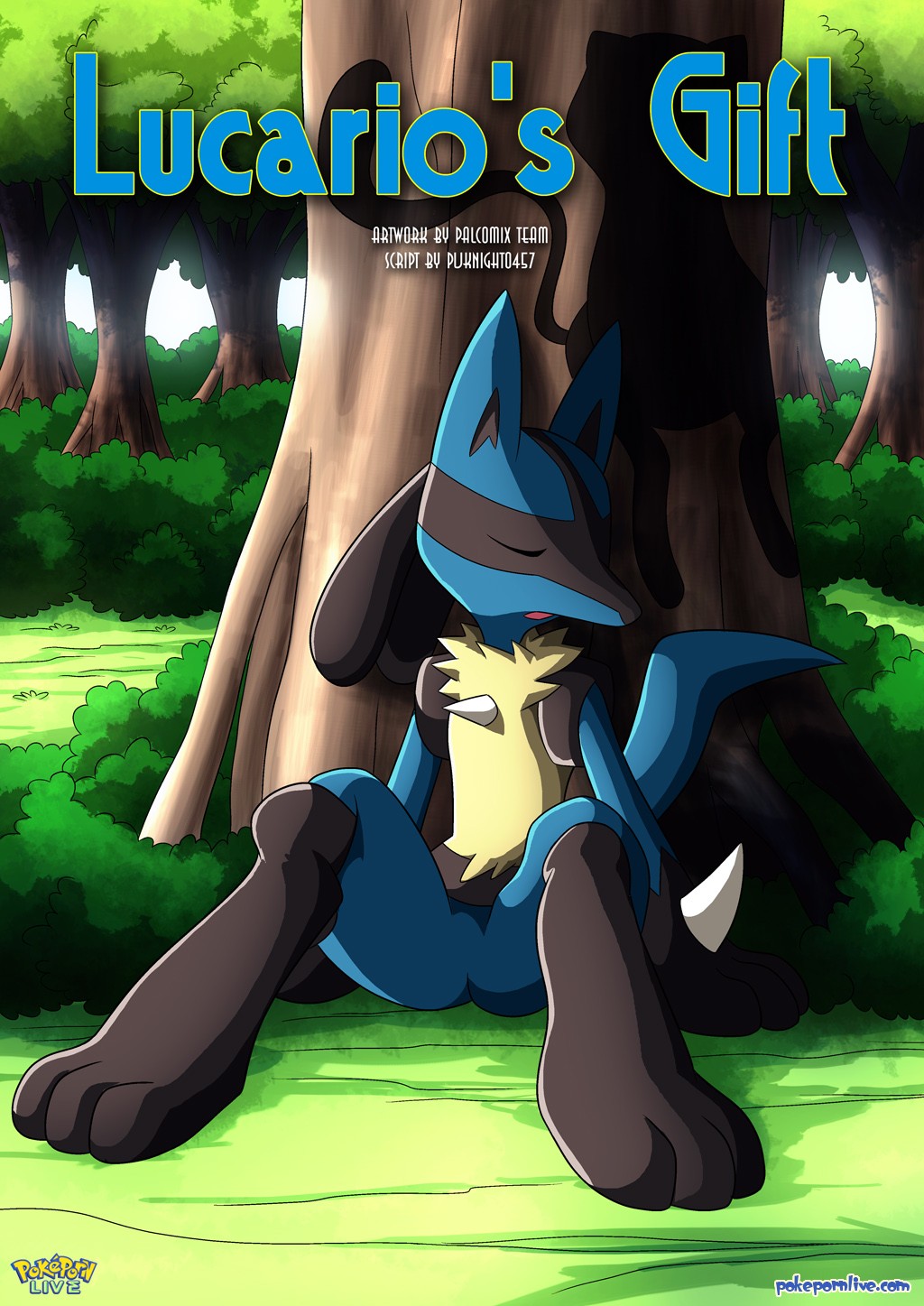 Lucario’s Gift - 1