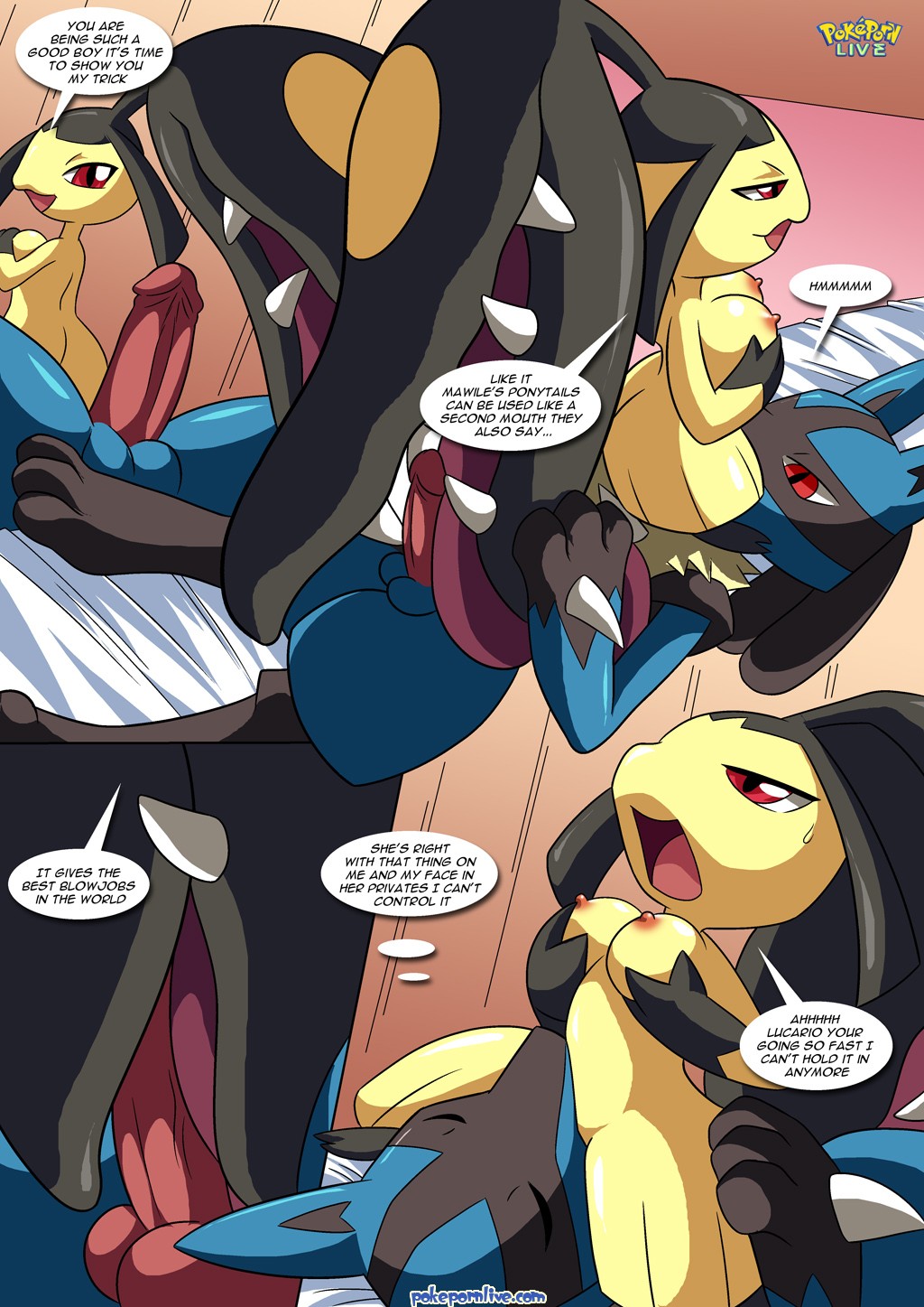 Lucario’s Gift - 11