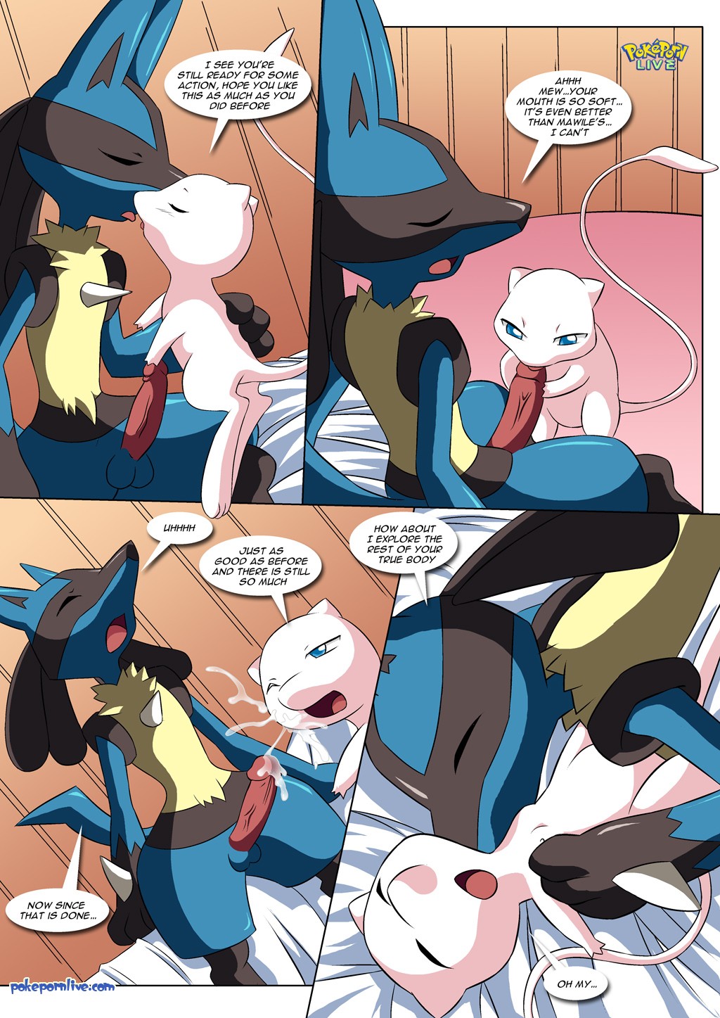 Lucario’s Gift - 17