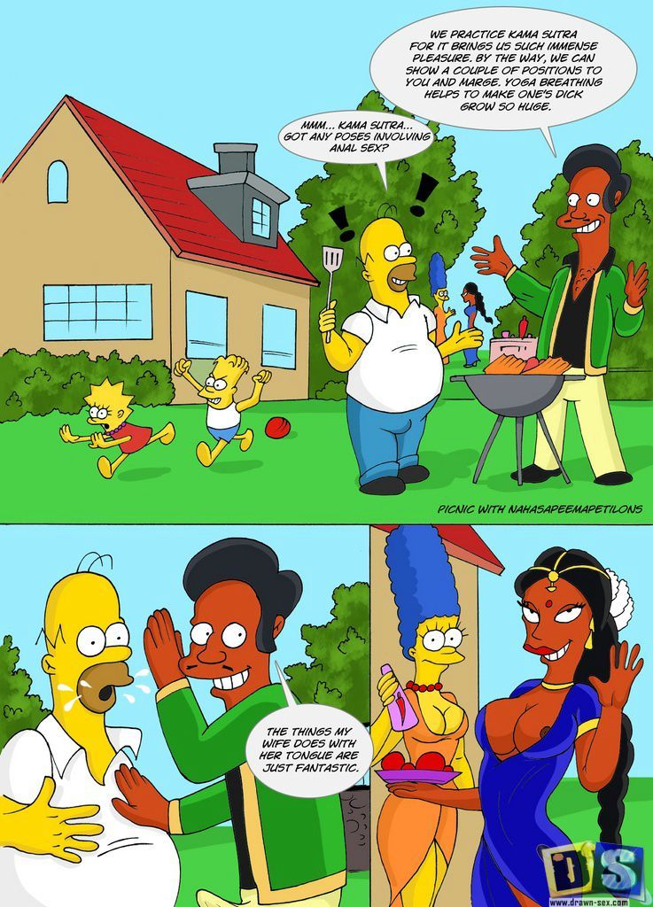 Picnic with Apu’s Family – The Simpsons XXX - 1