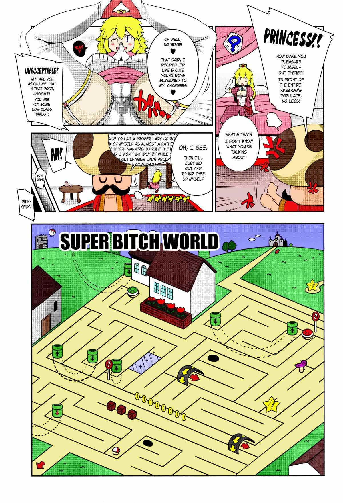 Super Bitch World – Super Mario Bros [Color] - 6